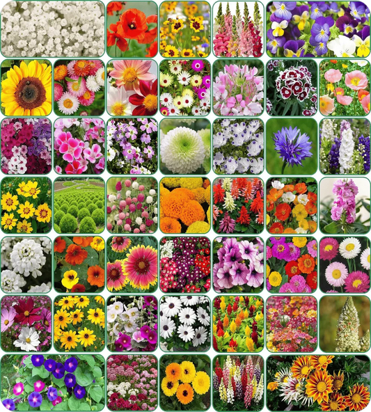 100 Varieties Of Flower Seeds + Free Growth Supplement!